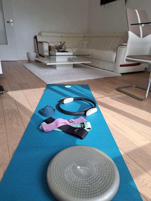 Appartement Grand Lumineux
