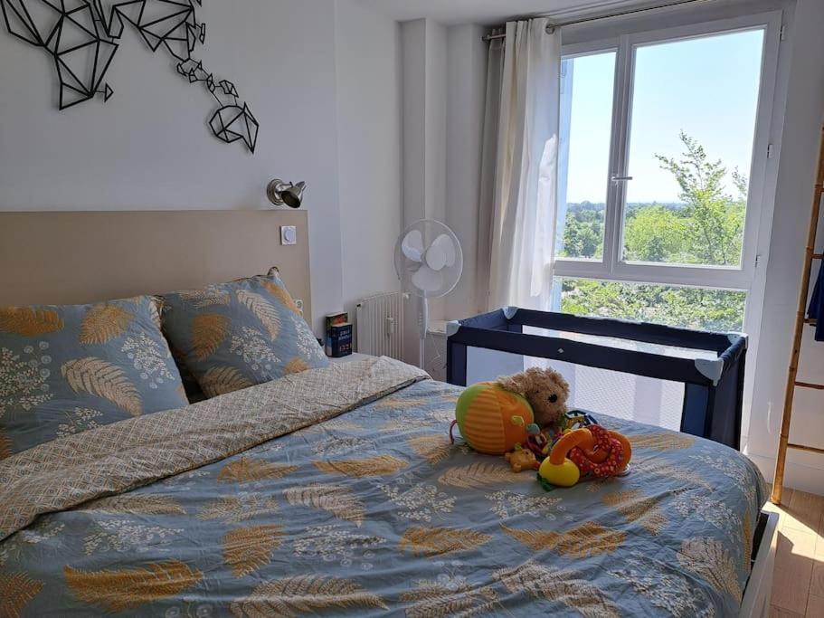 Appartement Grand Lumineux *