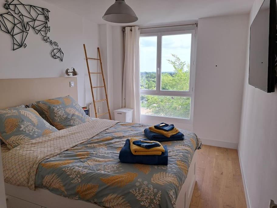Grand Lumineux Appartement *